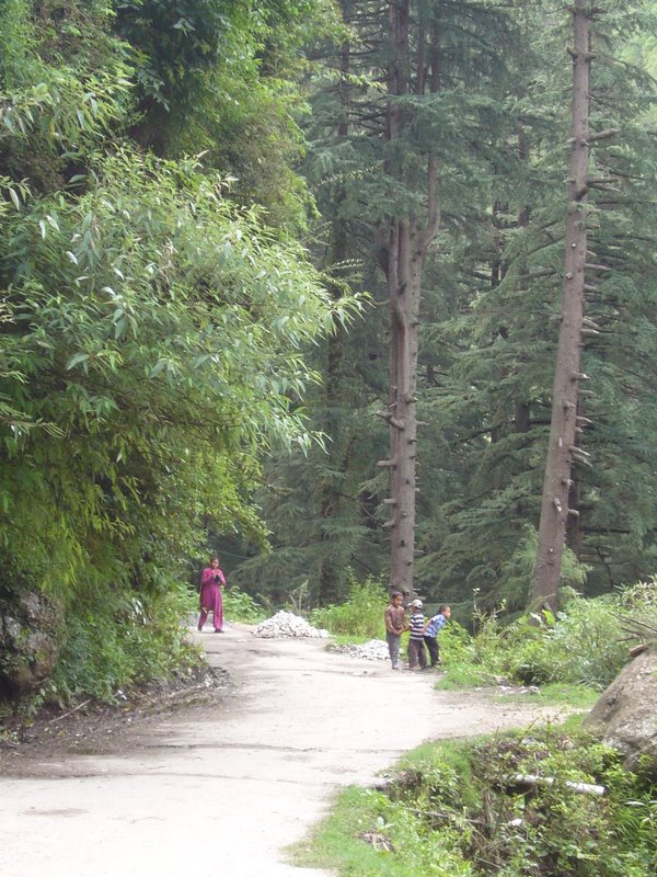 Travel - India - Himachal Pradesh - Parvati Valley - Kassol